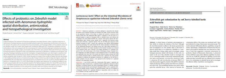 斑马鱼益生菌文献微生物学相关杂志认可度