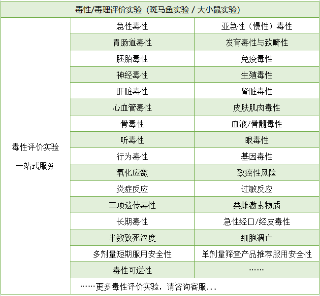 毒性评价模型