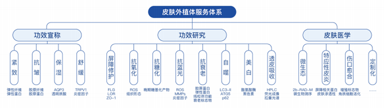 皮肤外植体服务项目