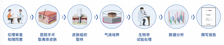 皮肤外植体服务流程