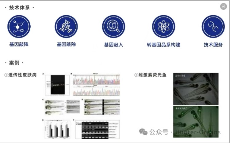 微信截图_20250728084733.jpg