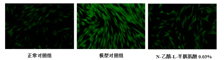 图片 9.jpg