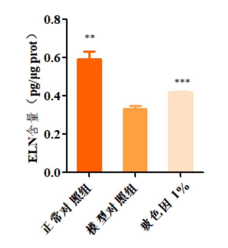 图片 13.jpg