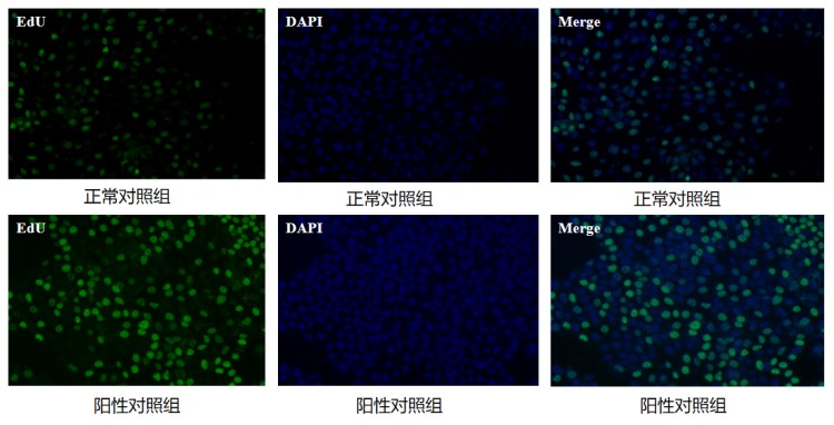 图片 6.jpg