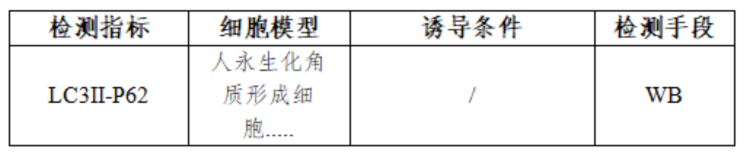 表1(8).png