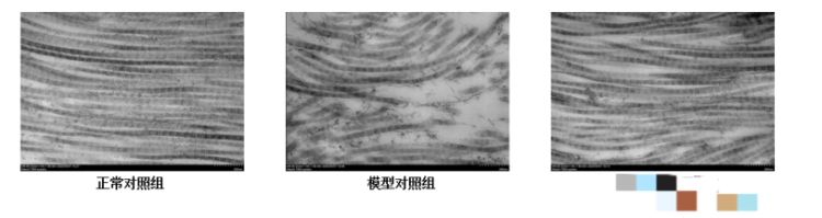 图片 3.png