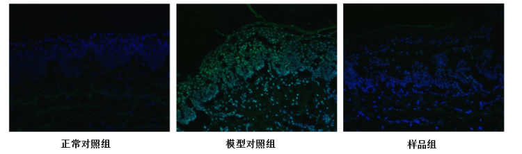 图片 1.png