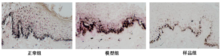 图片 1.png