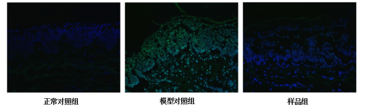 图片 6.png