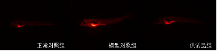 图片 2.jpg