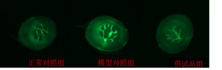 图片 2.jpg