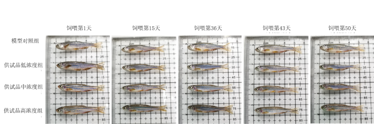 图片 1.png