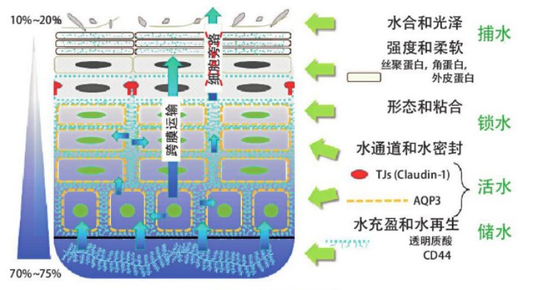 图片 1.jpg