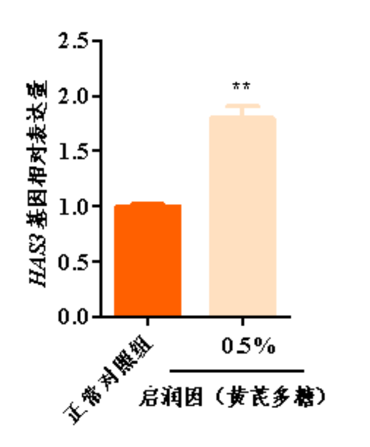 图片 7.png