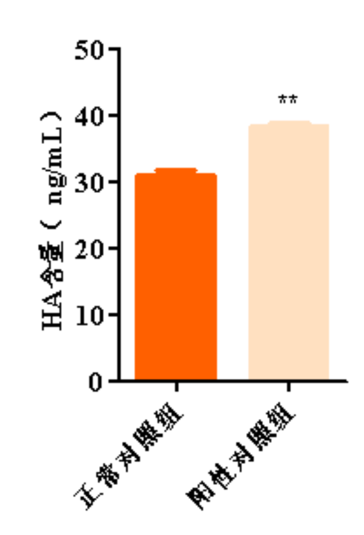 图片 8.png