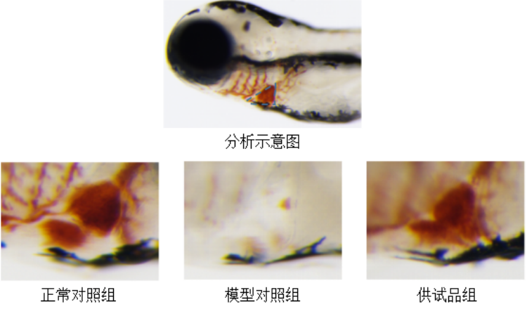 图片 1.png