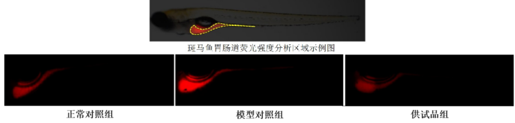 图片 1.png