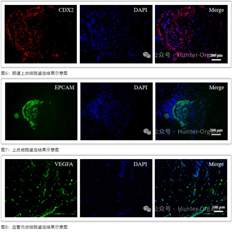 1761632686497999.jpg 5.jpg