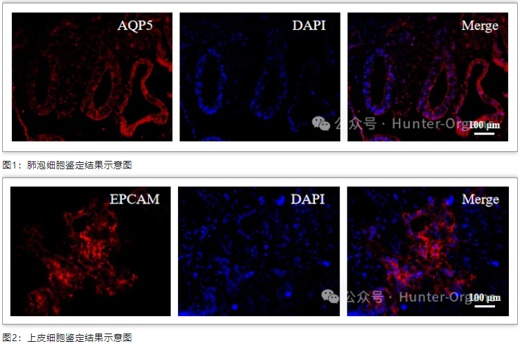 1761632698183771.jpg 2.jpg