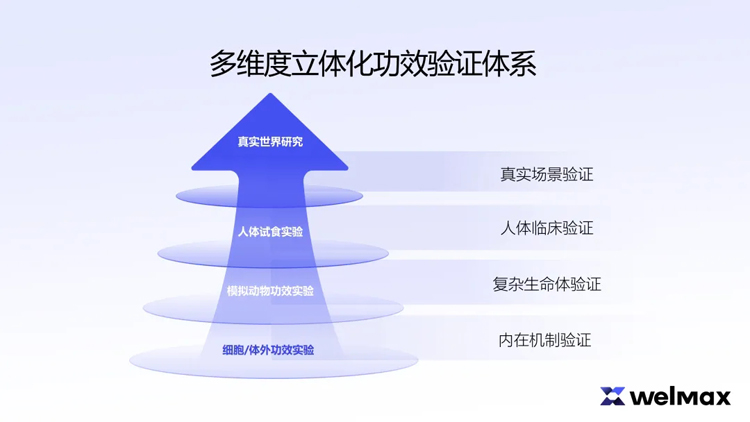 1762996642337812.jpg 3.jpg