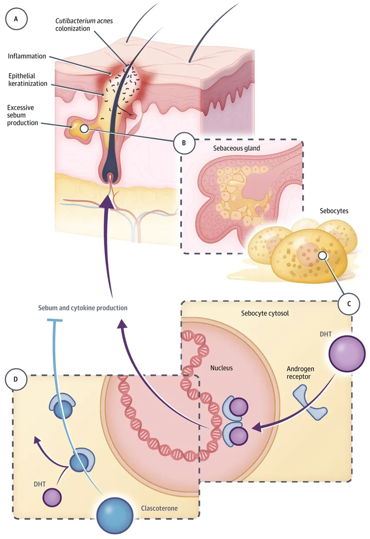 1765791943847716.jpg 5.jpg