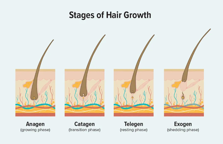 1765791954911077.jpg 2.jpg