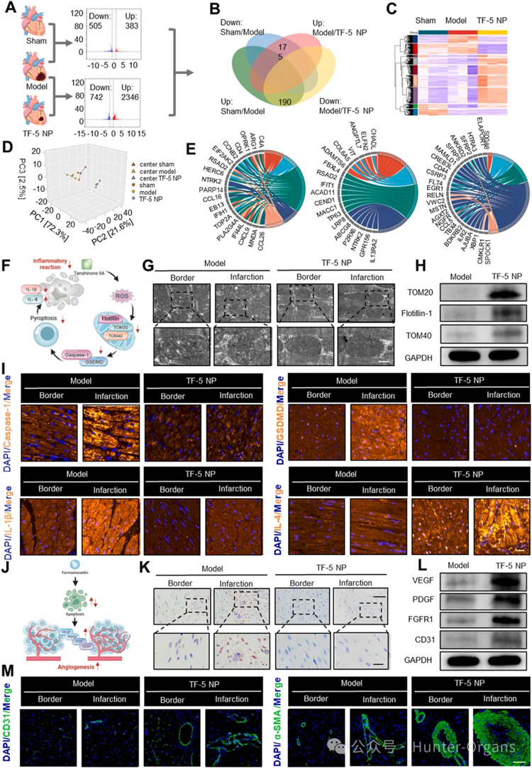 1765792310118303.jpg 7.jpg