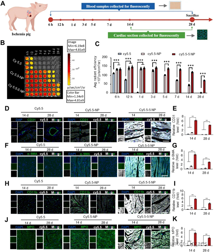 1765792319168769.jpg 5.jpg