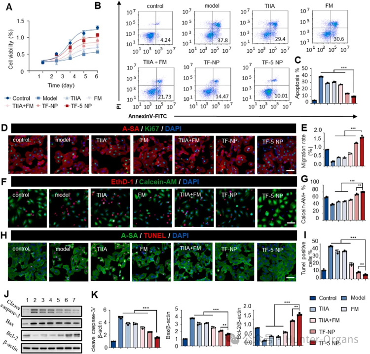 1765792330197228.jpg 2.jpg