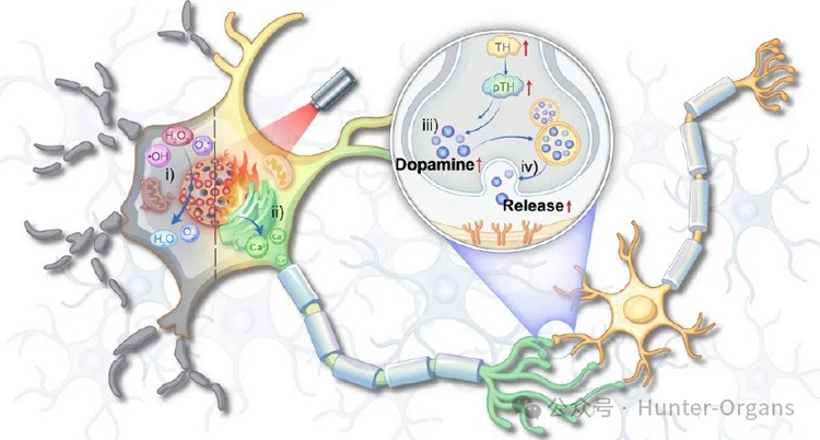 1766996986859339.jpg 00.jpg