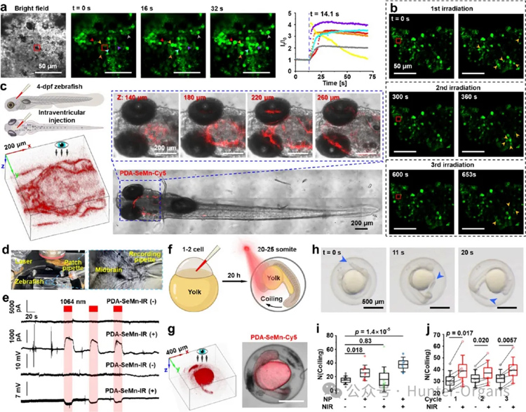 1766996996250604.jpg 6.jpg