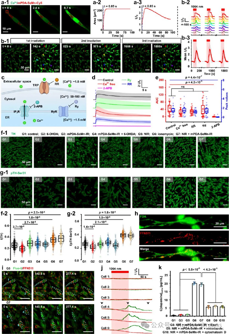 1766997002174187.jpg 5.jpg