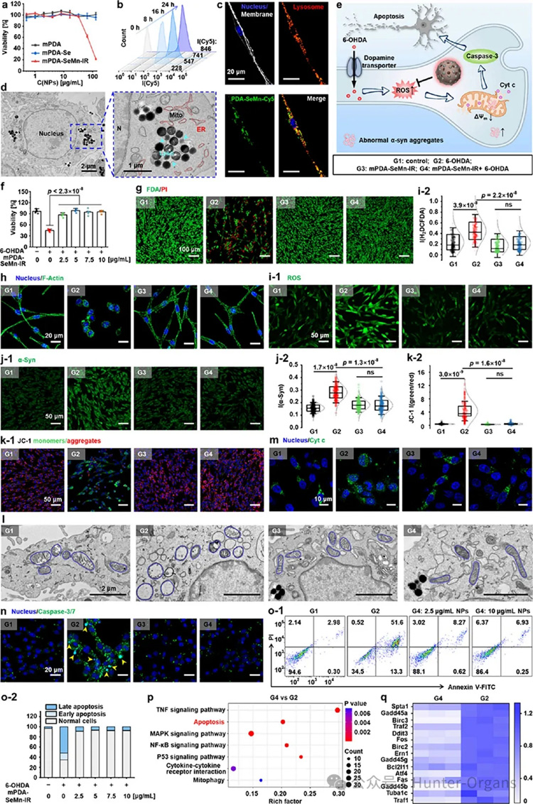 1766997005187207.jpg 4.jpg