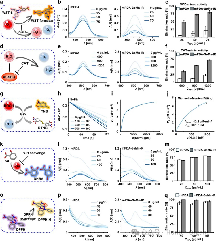 1766997009923971.jpg 3.jpg