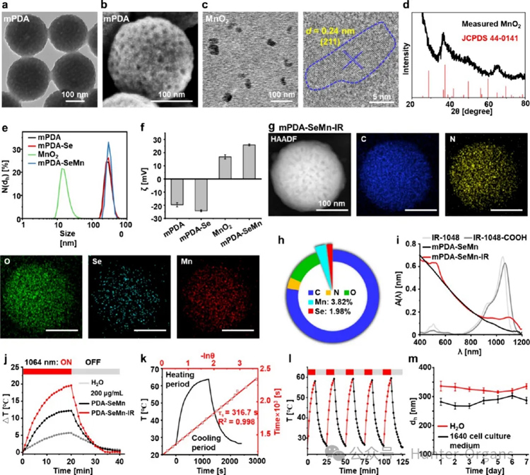 1766997013155819.jpg 2.jpg