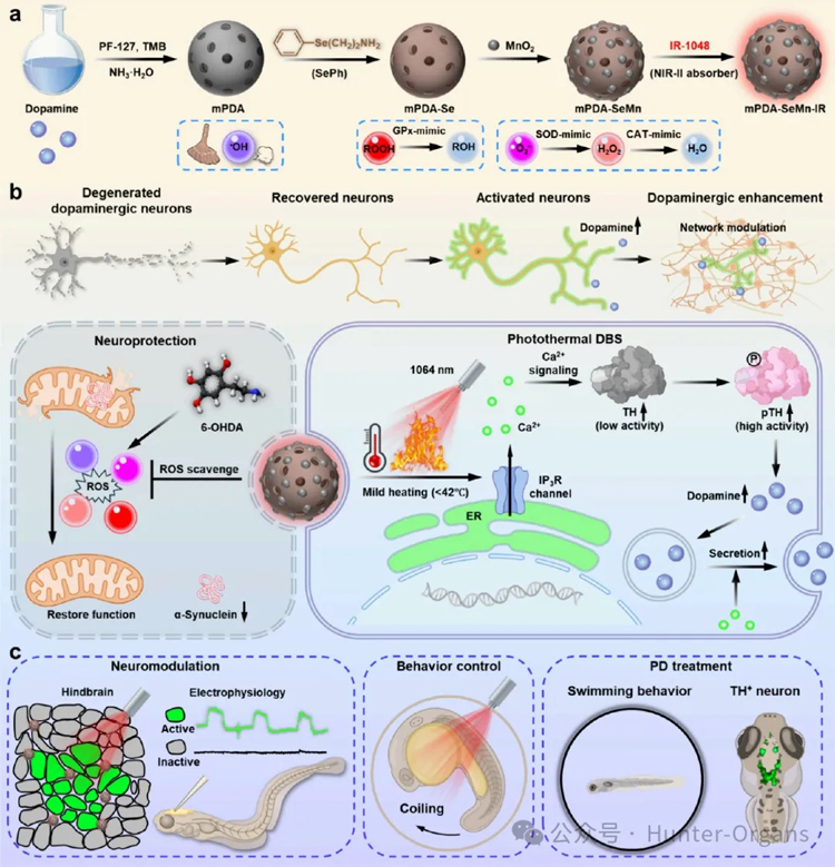 1766997016190618.jpg 1.jpg