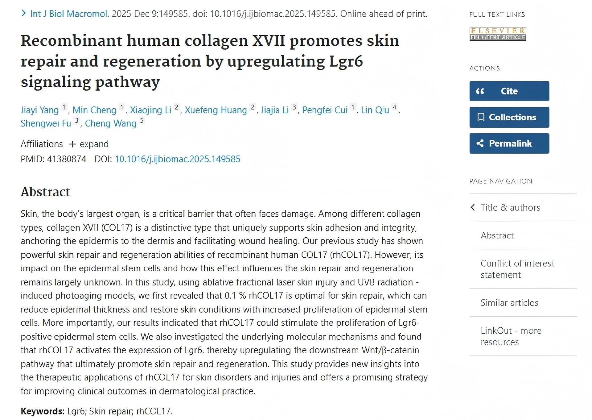 1767765632704240.jpg 3.jpg