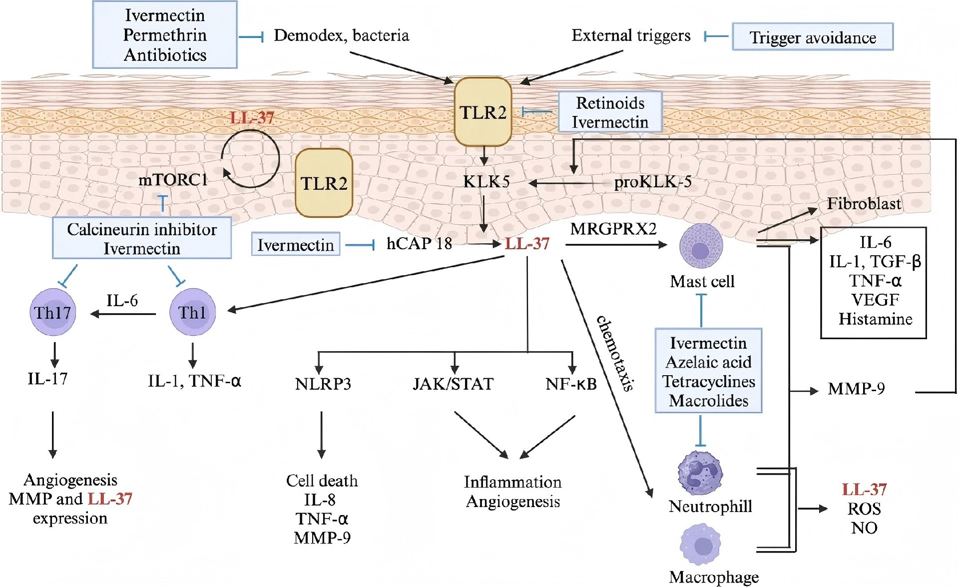 1767765668853521.jpg 4.jpg