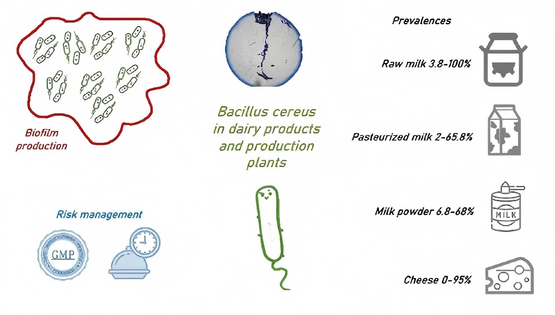 1768211151119110.jpg 8.jpg