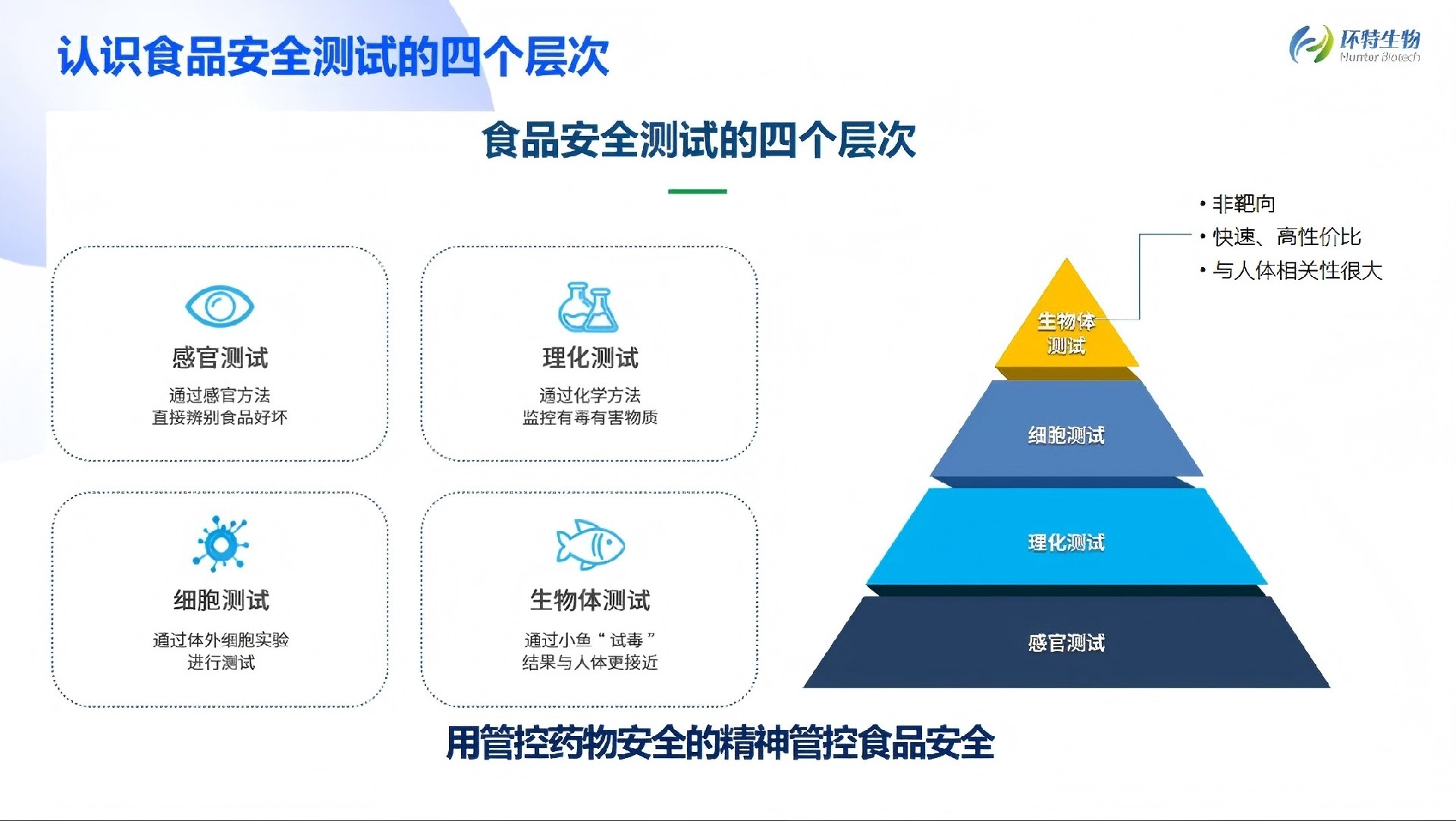 1768211175117850.jpg 9.jpg