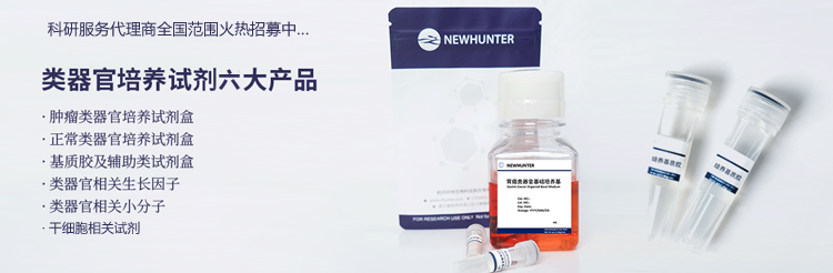 类器官培养试剂盒