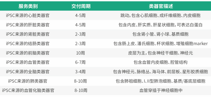 iPSC诱导分化类器官服务案例