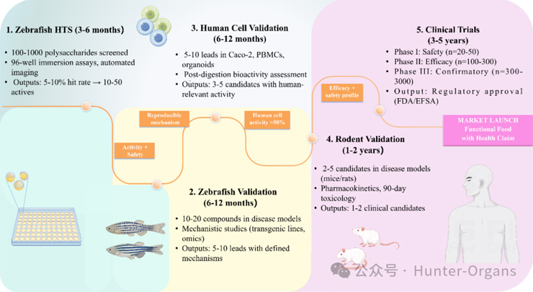 1771998869767390.jpg 11.jpg