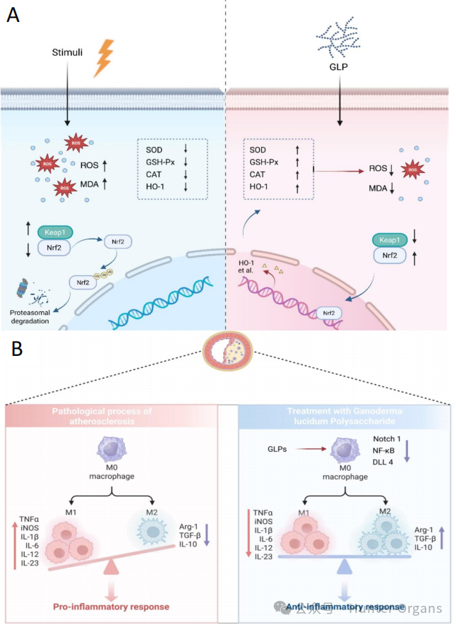1771998872120024.jpg 10.jpg