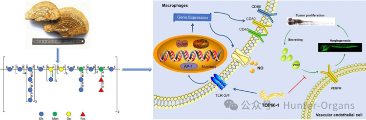 1771998876997436.jpg 9.jpg