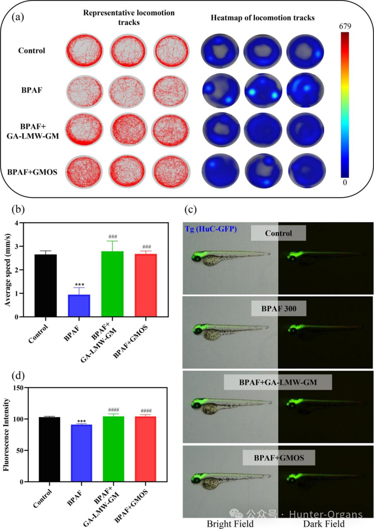 1771998880197591.jpg 8.jpg