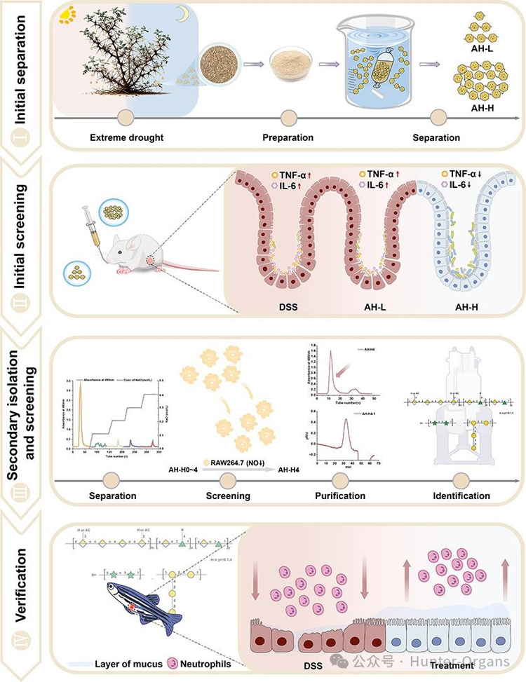 1771998884315630.jpg 7.jpg