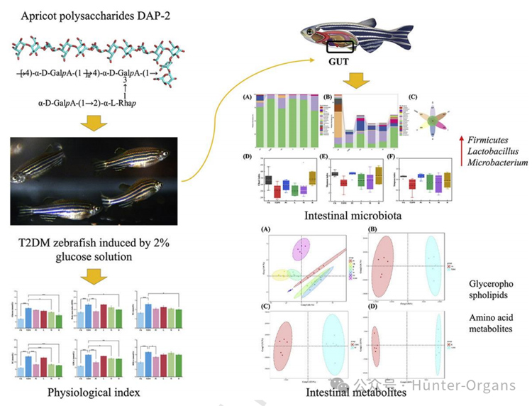 1771998888636928.jpg 6.jpg