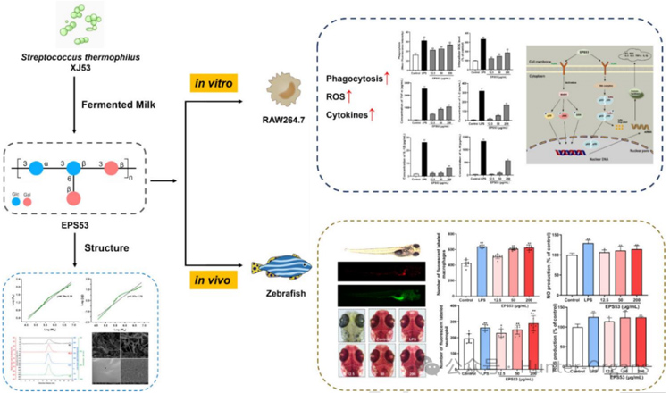 1771998891111523.jpg 5.jpg