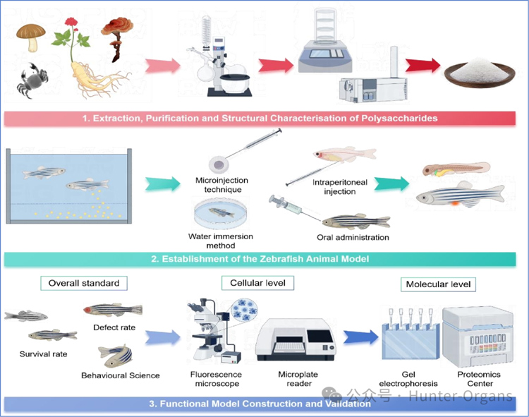 1771998899274437.jpg 3.jpg